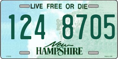 NH license plate 1248705