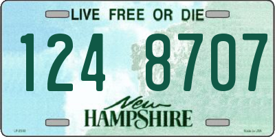 NH license plate 1248707