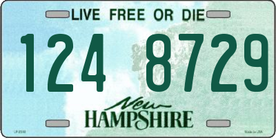 NH license plate 1248729