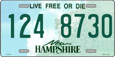 NH license plate 1248730
