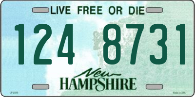 NH license plate 1248731