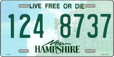 NH license plate 1248737