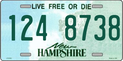 NH license plate 1248738