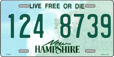 NH license plate 1248739