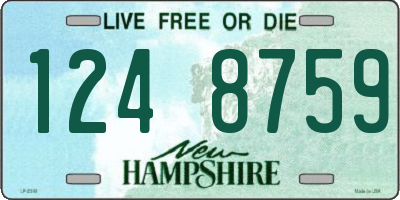 NH license plate 1248759
