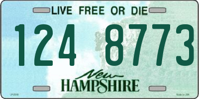 NH license plate 1248773
