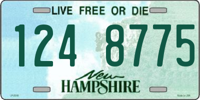 NH license plate 1248775