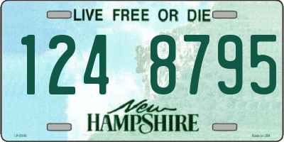 NH license plate 1248795