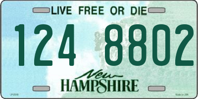 NH license plate 1248802