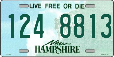 NH license plate 1248813