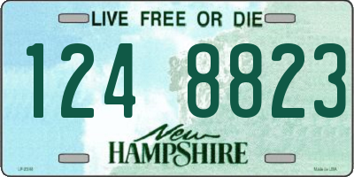 NH license plate 1248823