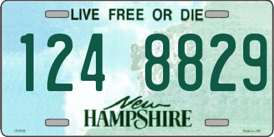 NH license plate 1248829