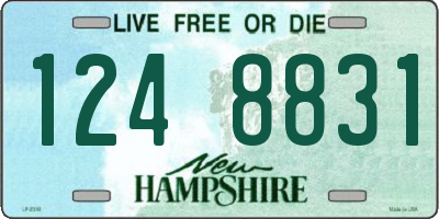 NH license plate 1248831