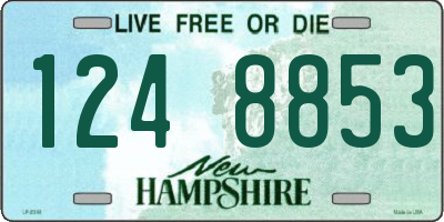 NH license plate 1248853