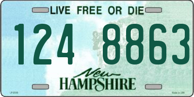 NH license plate 1248863