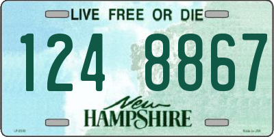 NH license plate 1248867
