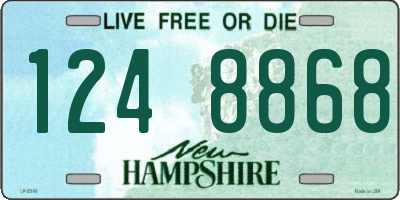 NH license plate 1248868