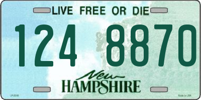 NH license plate 1248870
