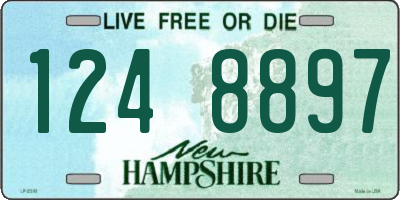 NH license plate 1248897