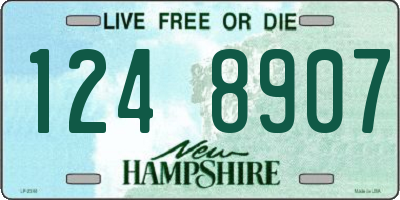 NH license plate 1248907