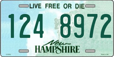 NH license plate 1248972