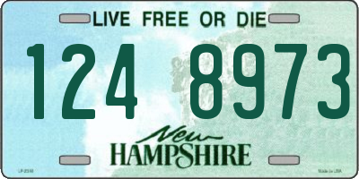 NH license plate 1248973