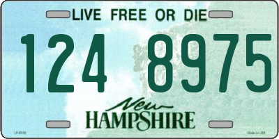 NH license plate 1248975