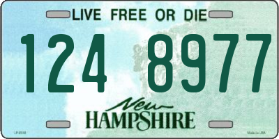 NH license plate 1248977