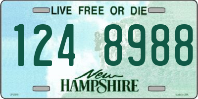 NH license plate 1248988