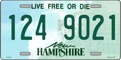 NH license plate 1249021