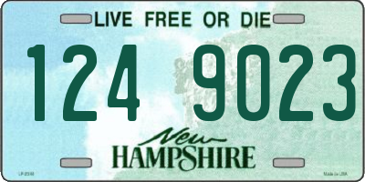 NH license plate 1249023