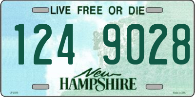 NH license plate 1249028
