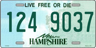 NH license plate 1249037