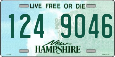 NH license plate 1249046