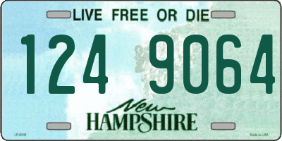 NH license plate 1249064