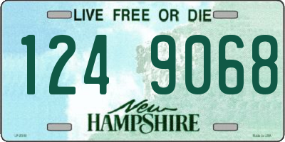 NH license plate 1249068