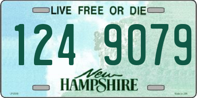 NH license plate 1249079