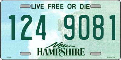 NH license plate 1249081