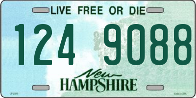 NH license plate 1249088