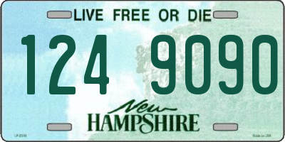 NH license plate 1249090