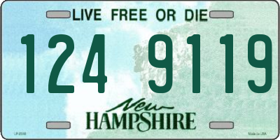 NH license plate 1249119