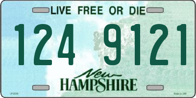 NH license plate 1249121