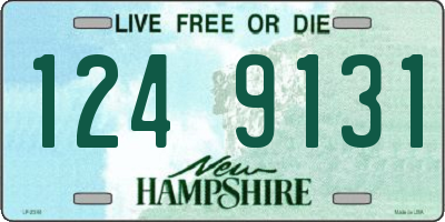 NH license plate 1249131