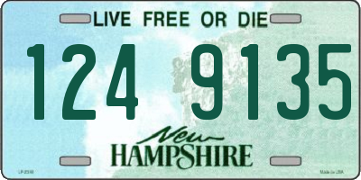 NH license plate 1249135