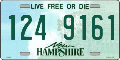 NH license plate 1249161