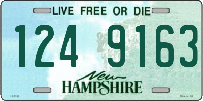 NH license plate 1249163