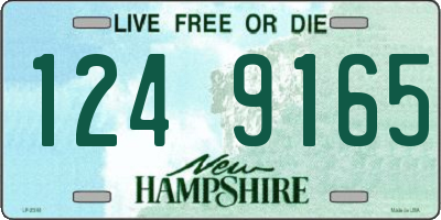 NH license plate 1249165