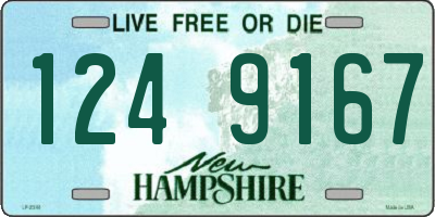 NH license plate 1249167