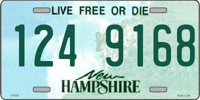 NH license plate 1249168
