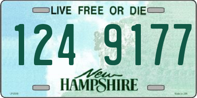 NH license plate 1249177